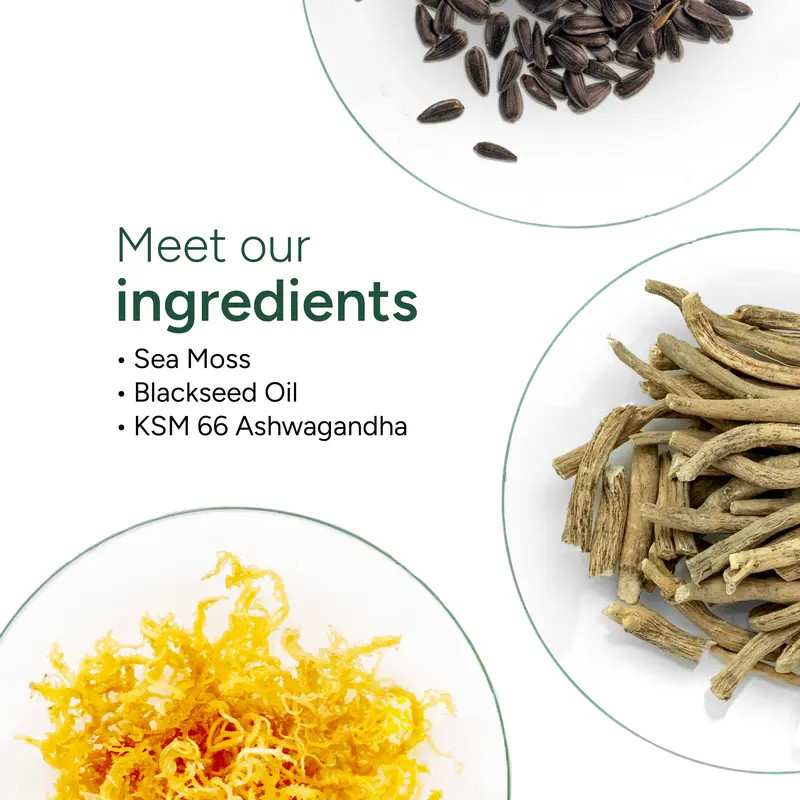 Root Labs 10-in-1 Alpha Sea Moss 60+60 Sugar-Free Gummies