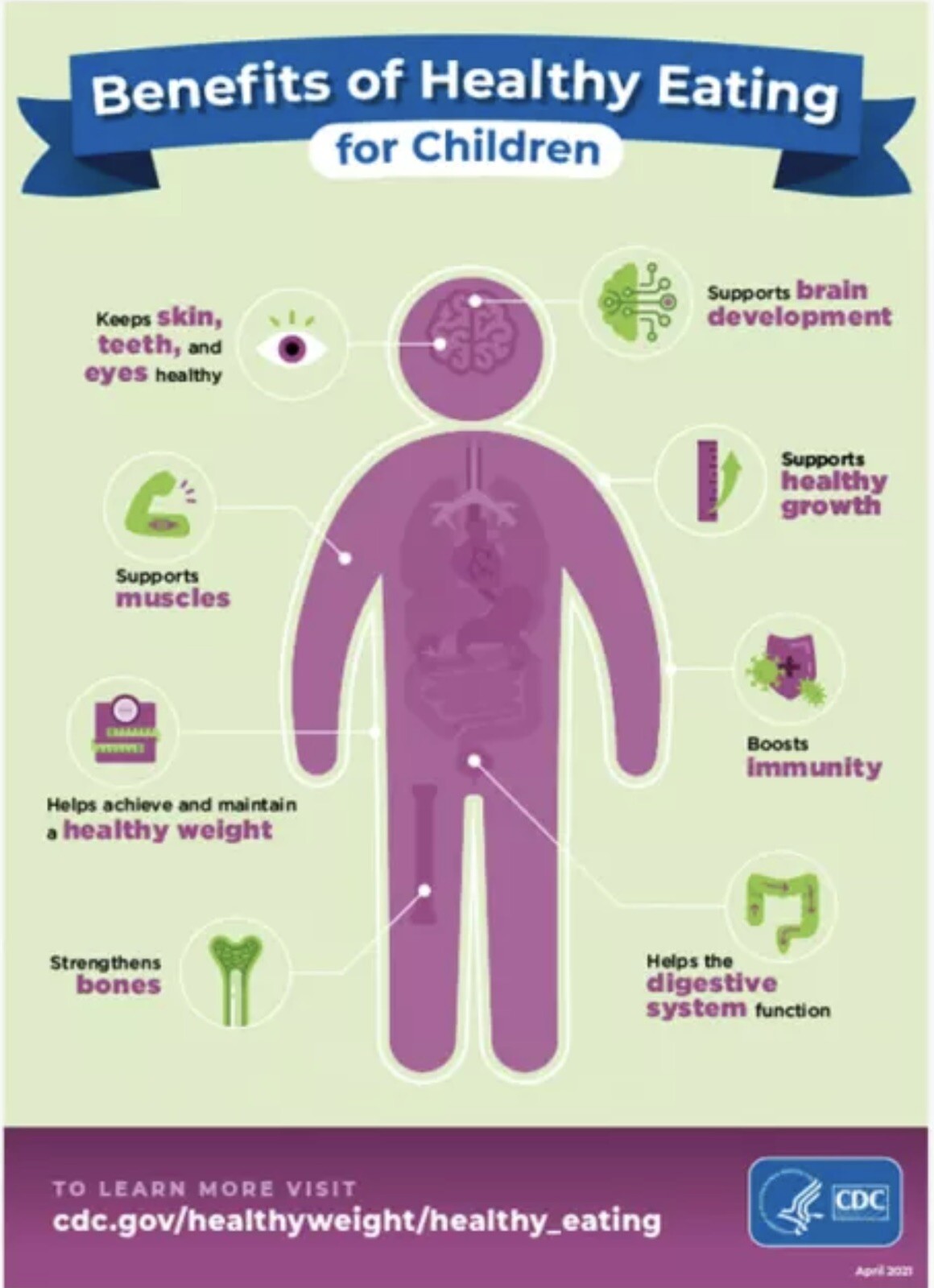 Vitamin B-Complex, Healthy Growth, Function of Organs, Brain, Heart