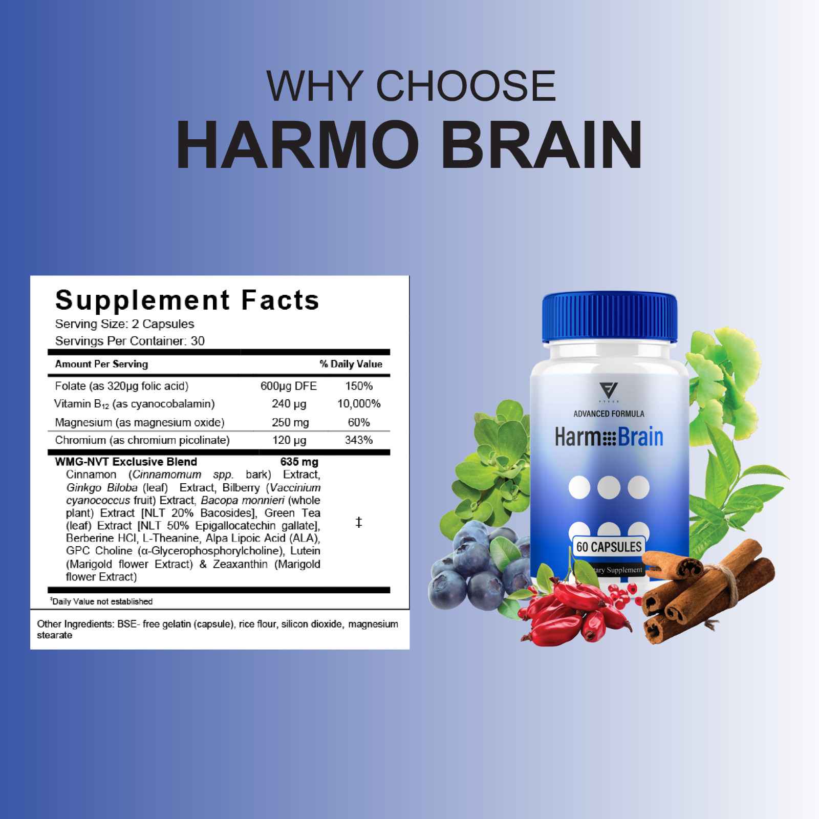 (5 Pack) Harmo Brain Focus Supplement, HarmoBrain Support (300 Capsules)