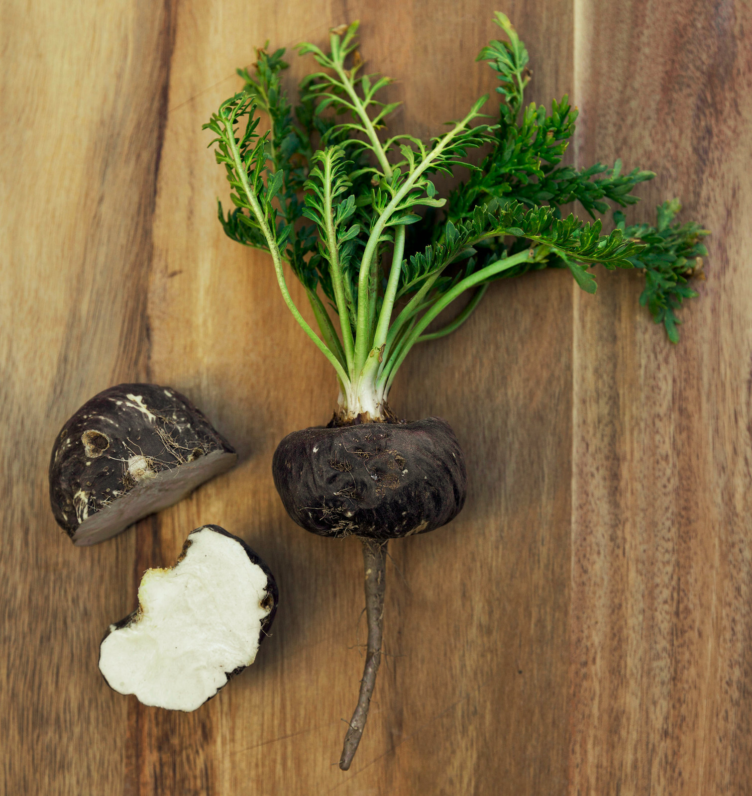 Organic Gelatinized Black Maca Root Powder – Fairly Traded Fresh Harvest