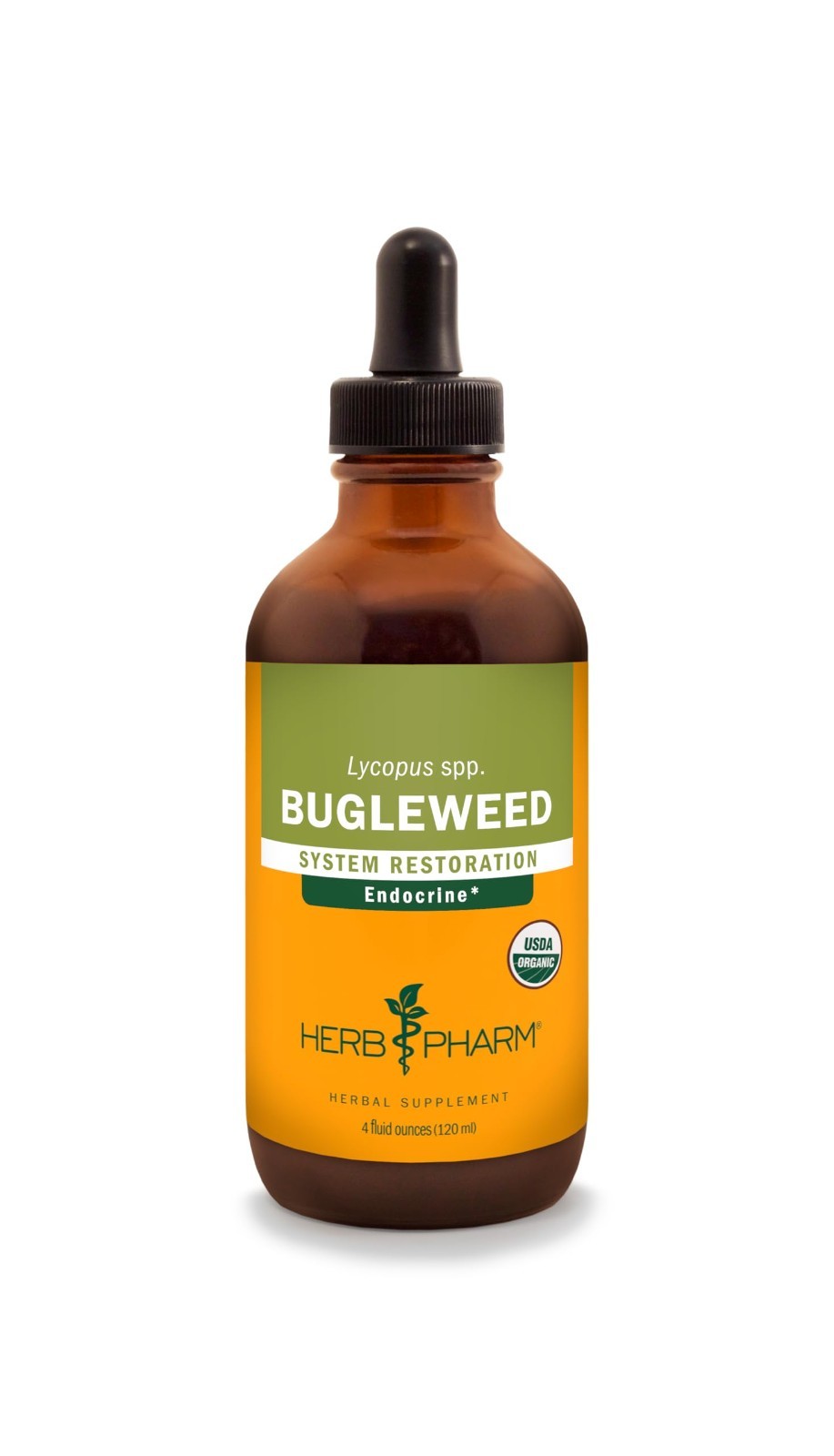 Bugleweed Liquid Extract Drops – Endocrine Support, Herbal Supplement, 4 Oz