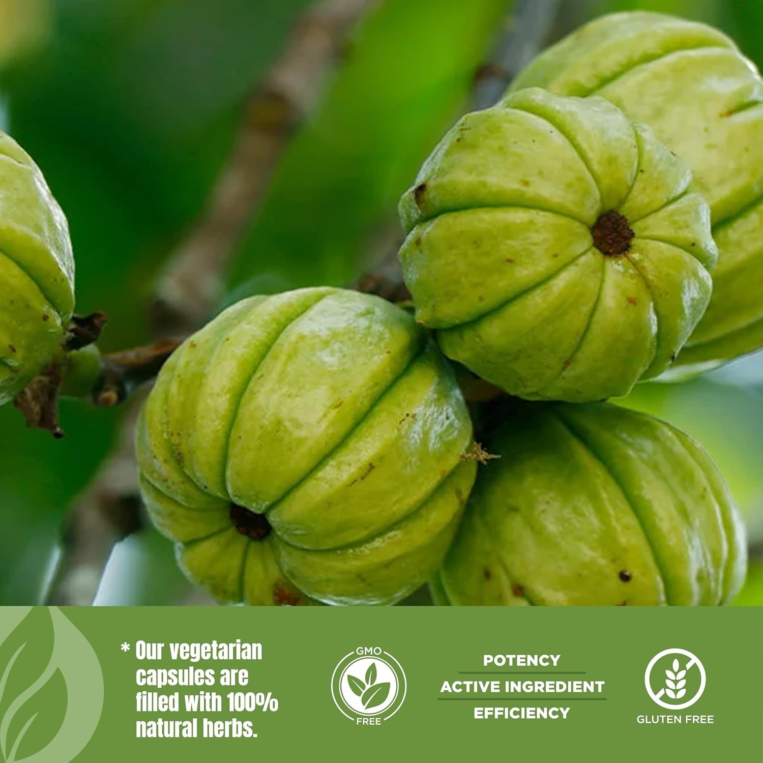 Garcinia Cambogia 650mg Extract Weight Management & Metabolic Support Supplement
