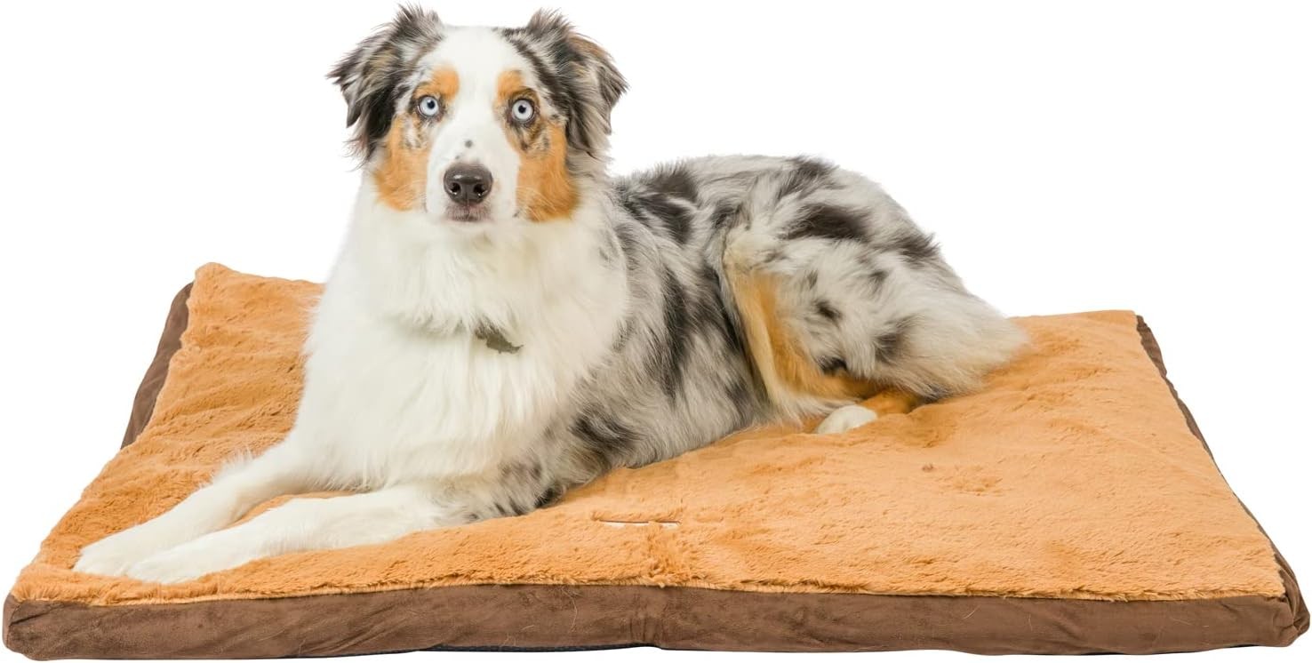 Armarkat Brown Pet Bed,39-Inch by 28-Inch by 5-Inch