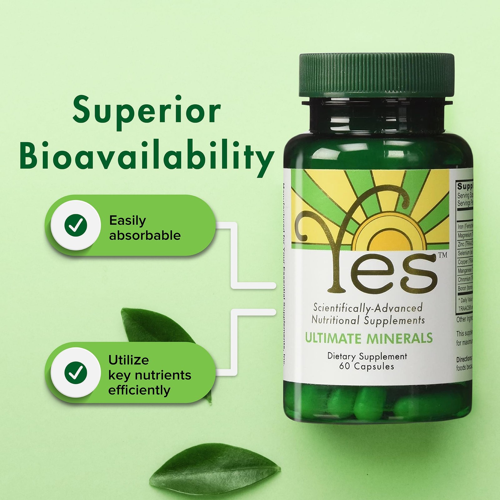 YES Chelated Magnesium & Zinc Multimineral Supplement – 60 Count (Pack of 1)
