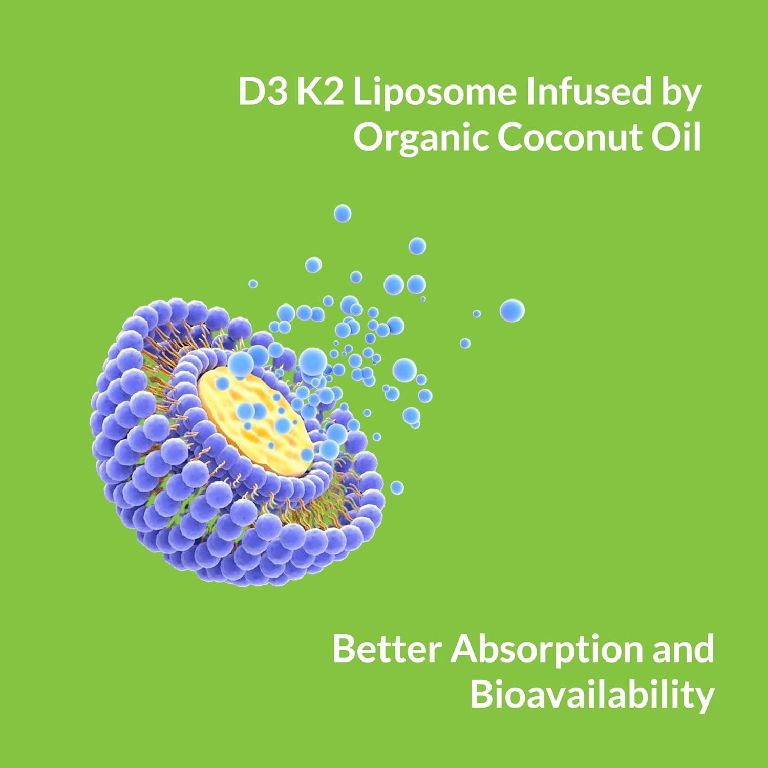 UpNourish Liposomal Vitamin D3 K2 2000 IU with K2 MK-7 100 mcg – 365 Vitamin