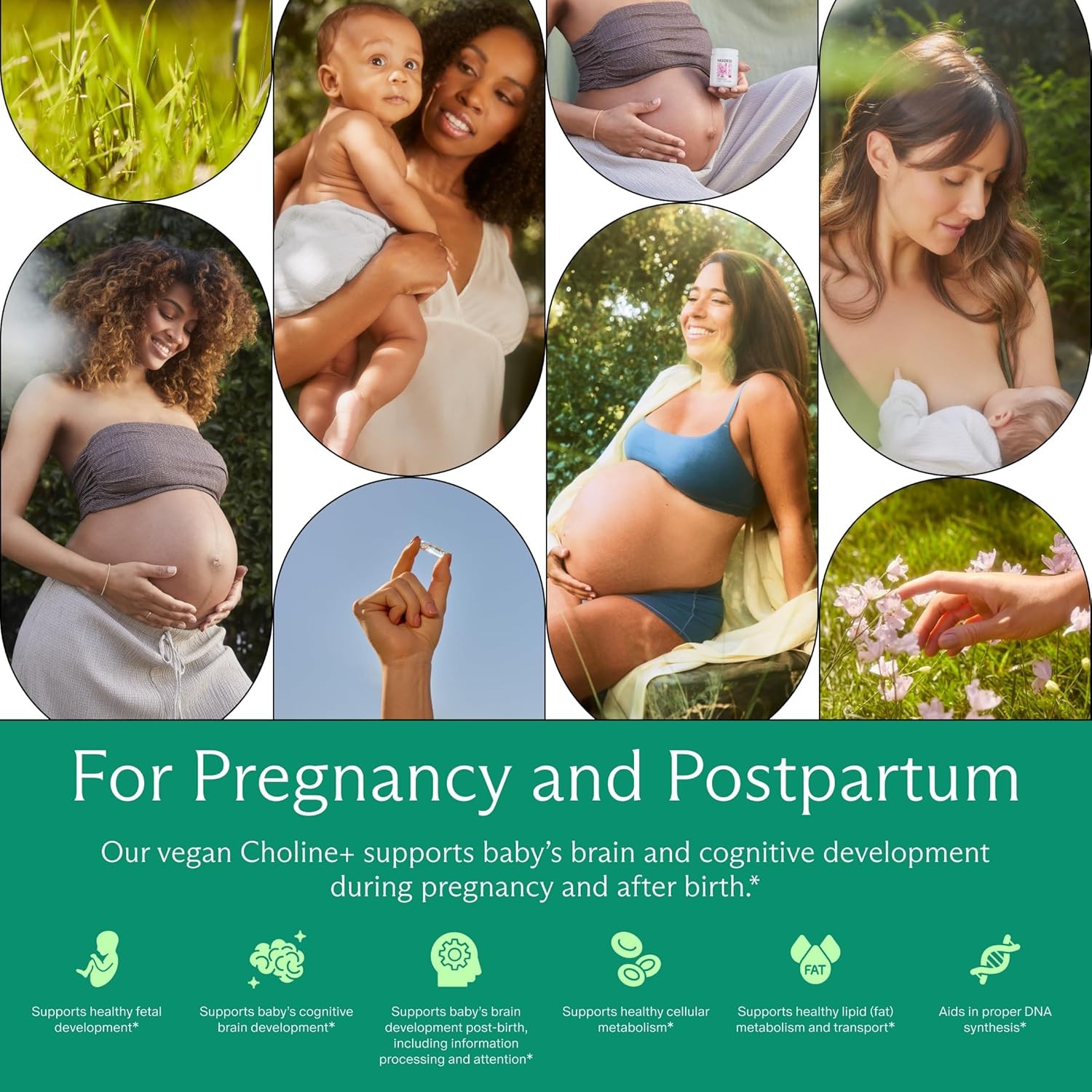 Needed. Prenatal Choline+ Liquid Capsules for Cognitive 30 Capsules Exp.02/2028