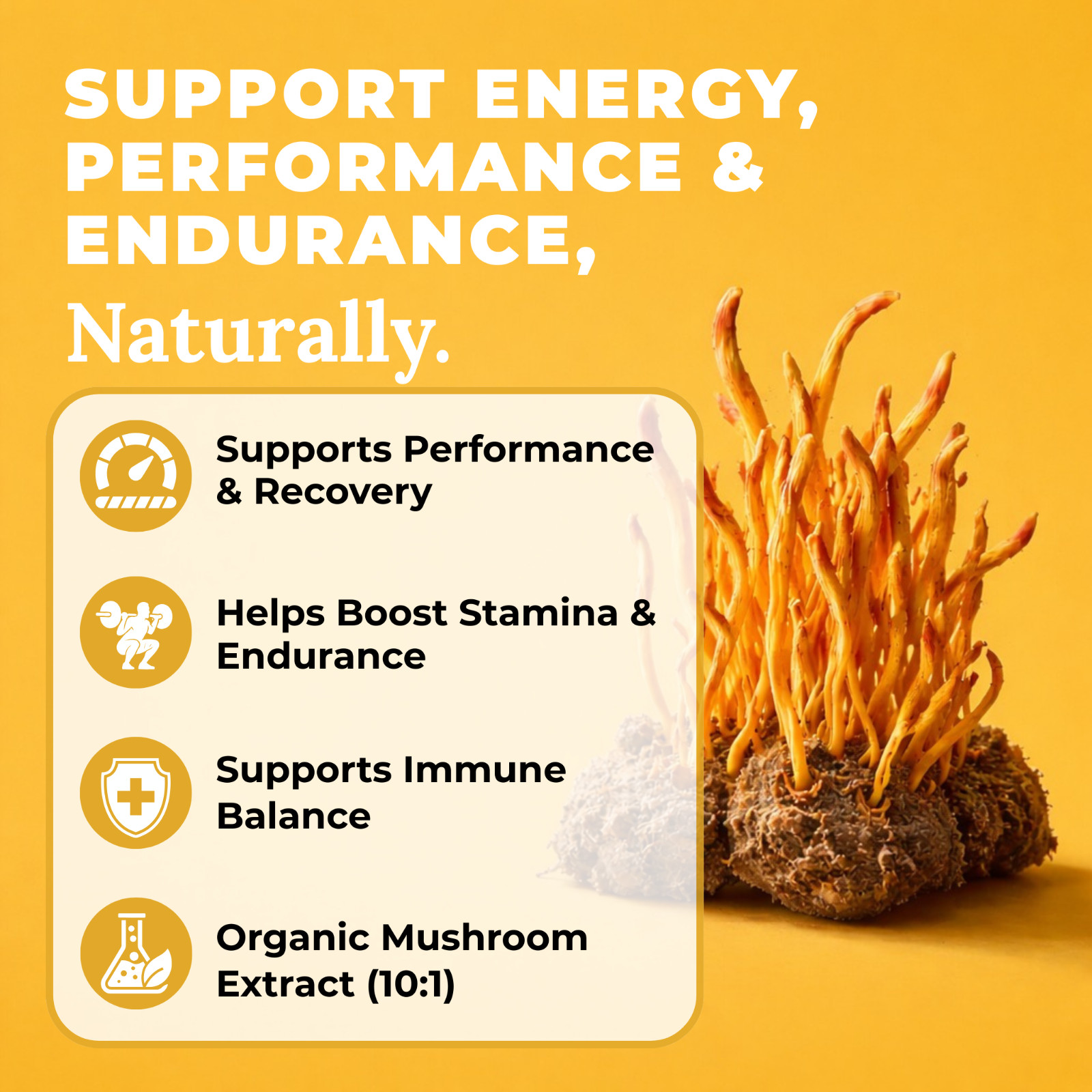 Cordyceps Mushroom Extract Capsules – 10:1 Concentrated Formula – 60 Capsules
