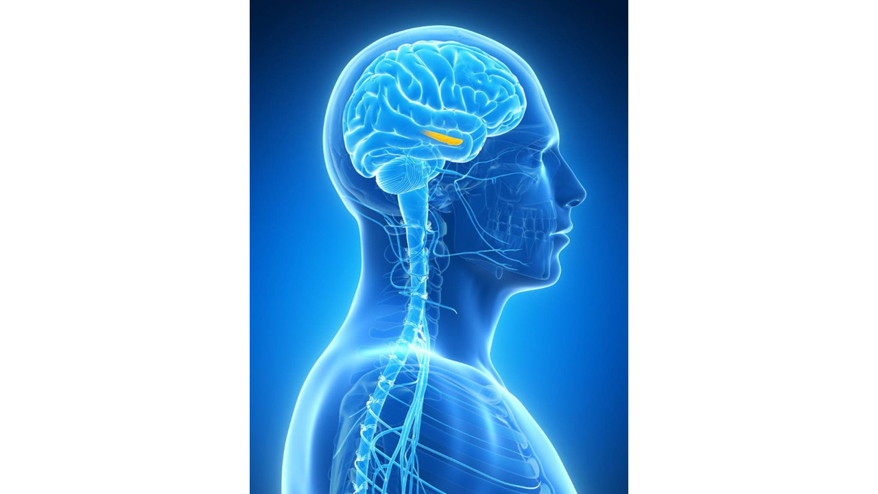 NeuroClimax nootropic spray: powerful brain performance, memory, focus + repair.