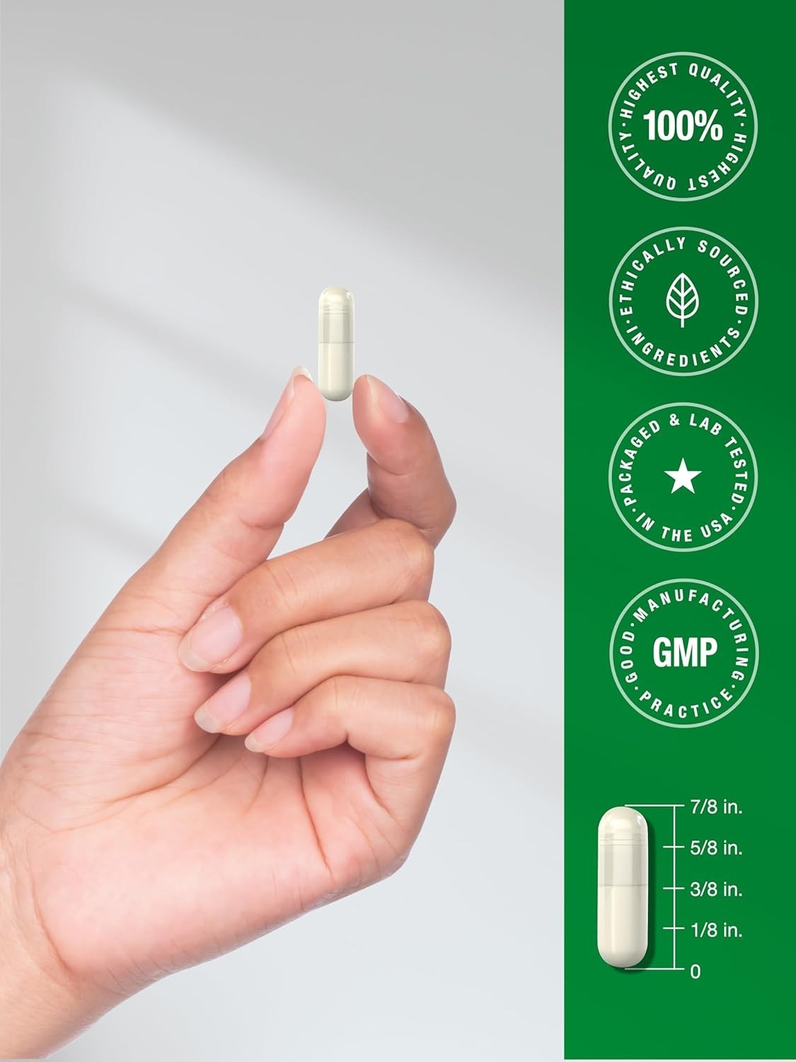Green Lipped Mussel Capsules 750 mg | 120 Count | from New Zealand | by Horbaach