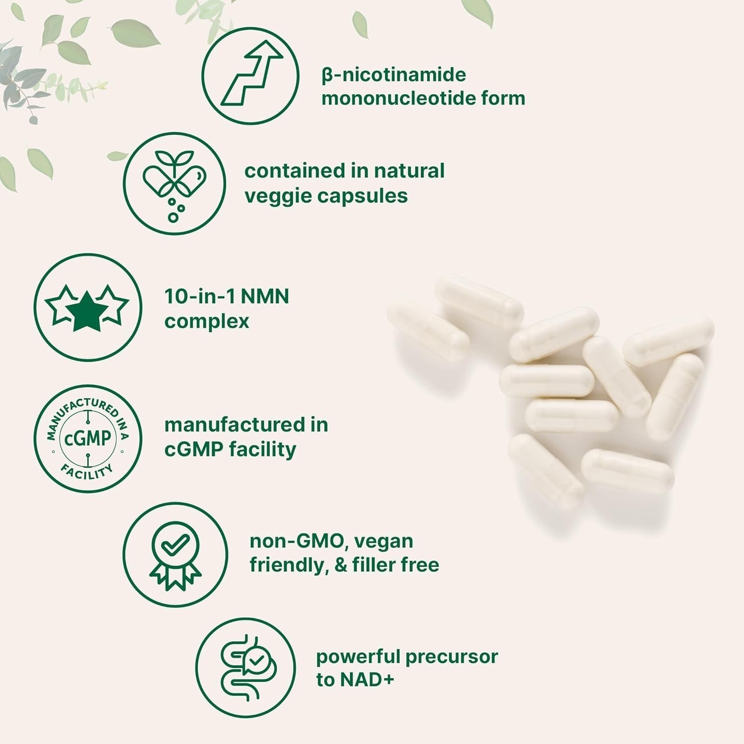 NMN Complex 1,000mg – 120 Caps | 10-in-1 NAD+ Booster with Resveratrol, CoQ10 &
