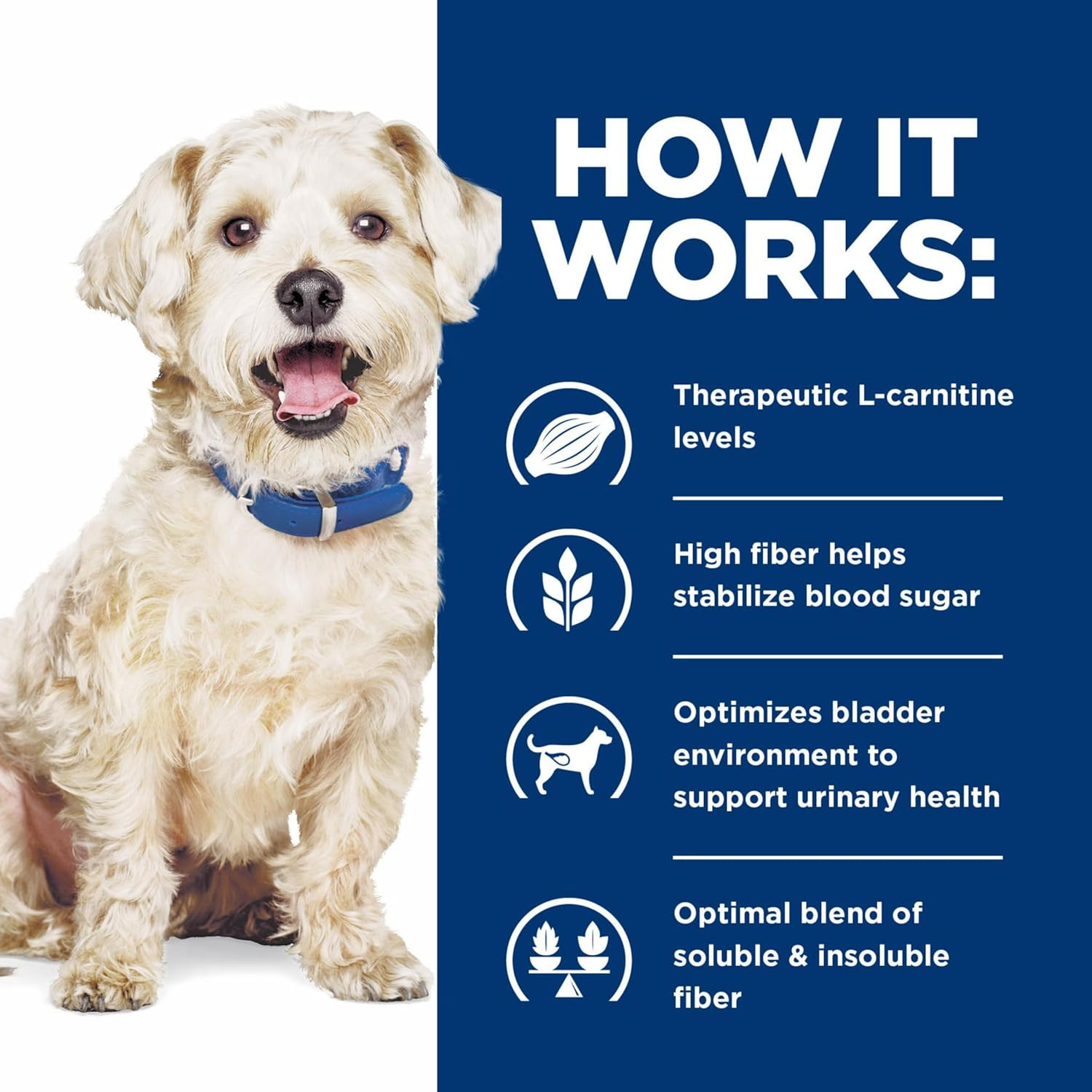 W/D Multi-Benefit Digestive/Weight/Glucose/Urinary Management Wet Dog Food, Chic