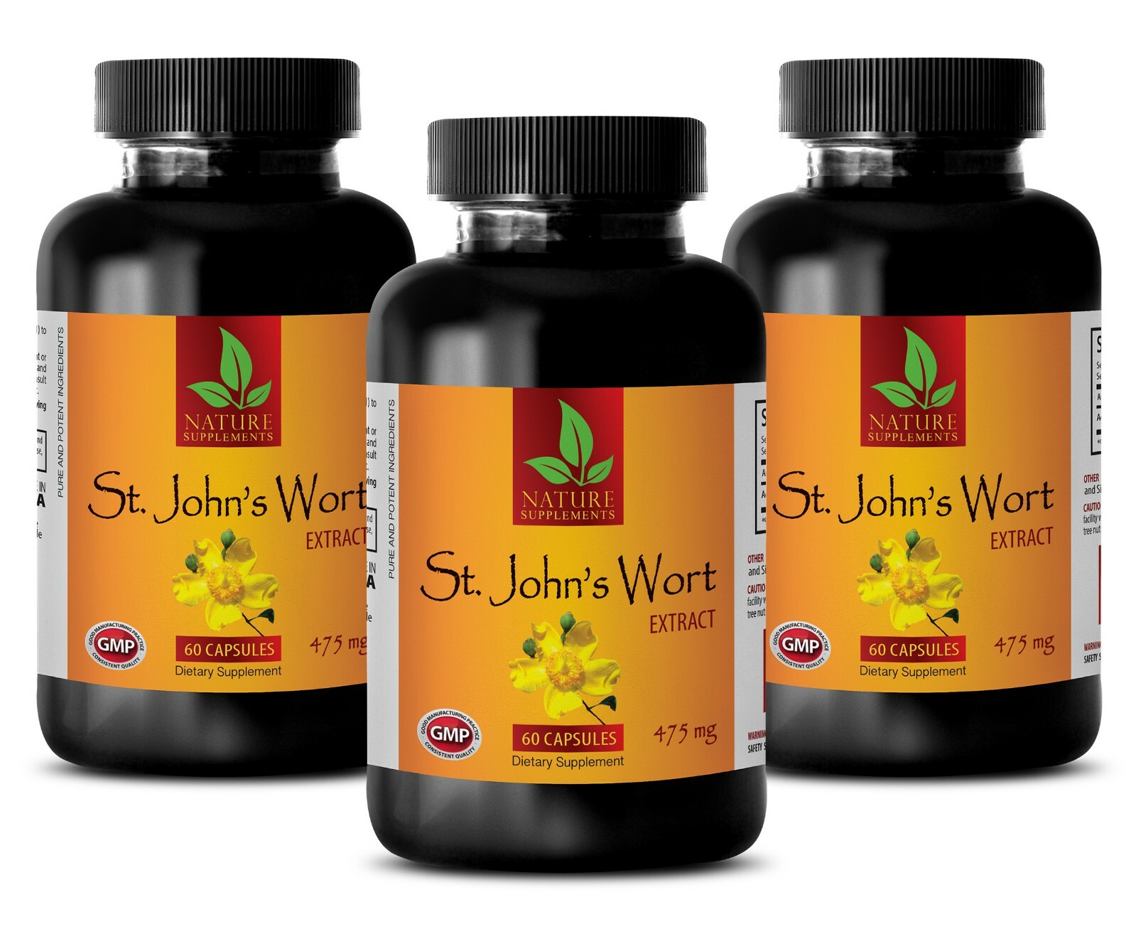 Ginkgo Biloba Seeds – ST. JOHN’S WORT EXTRACT – Help Memory – 3 Bottles