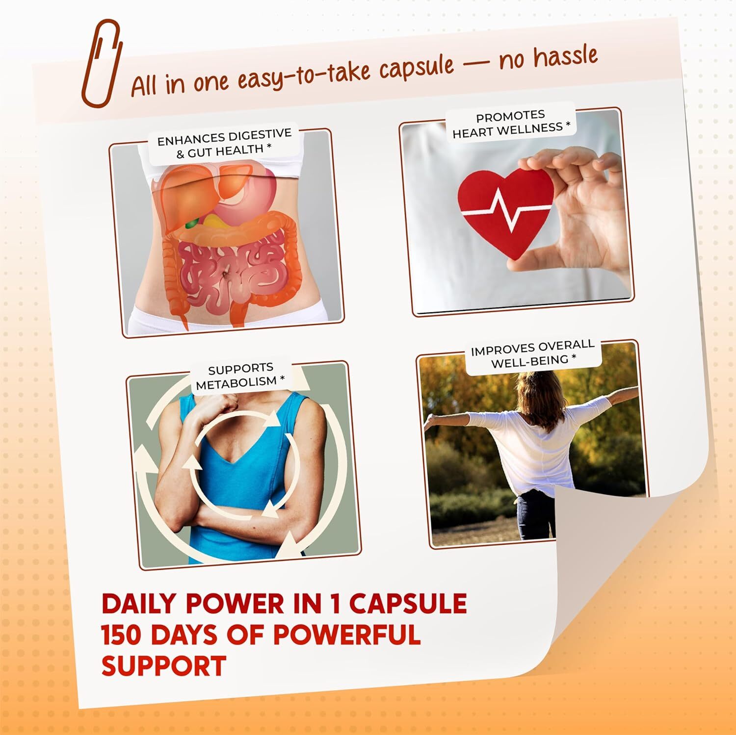 Cayenne Pepper 8000Mg Ginger 3000Mg Turmeric 2500Mg Berberine 2500Mg – Digestion