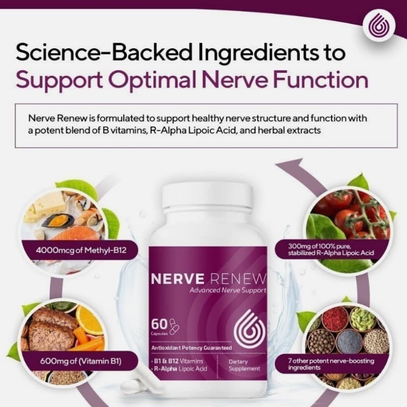 NERVE RENEW Advanced Nerve Support – with R-Alpha Lipoic Acid and Vitamin B