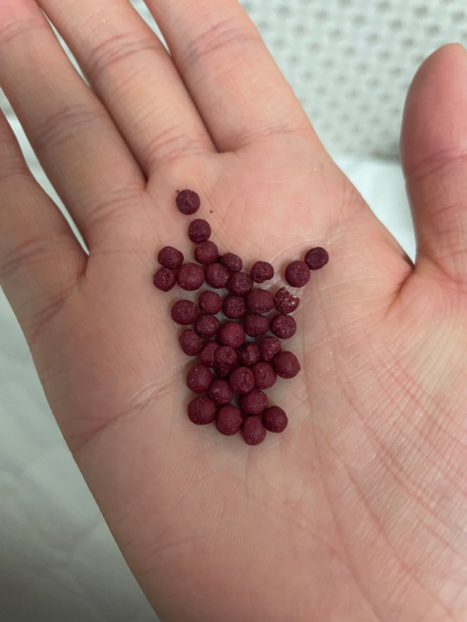 Secret Before Meal Organic Acids Granule, 50P, Healthy Dietary Nutrients
