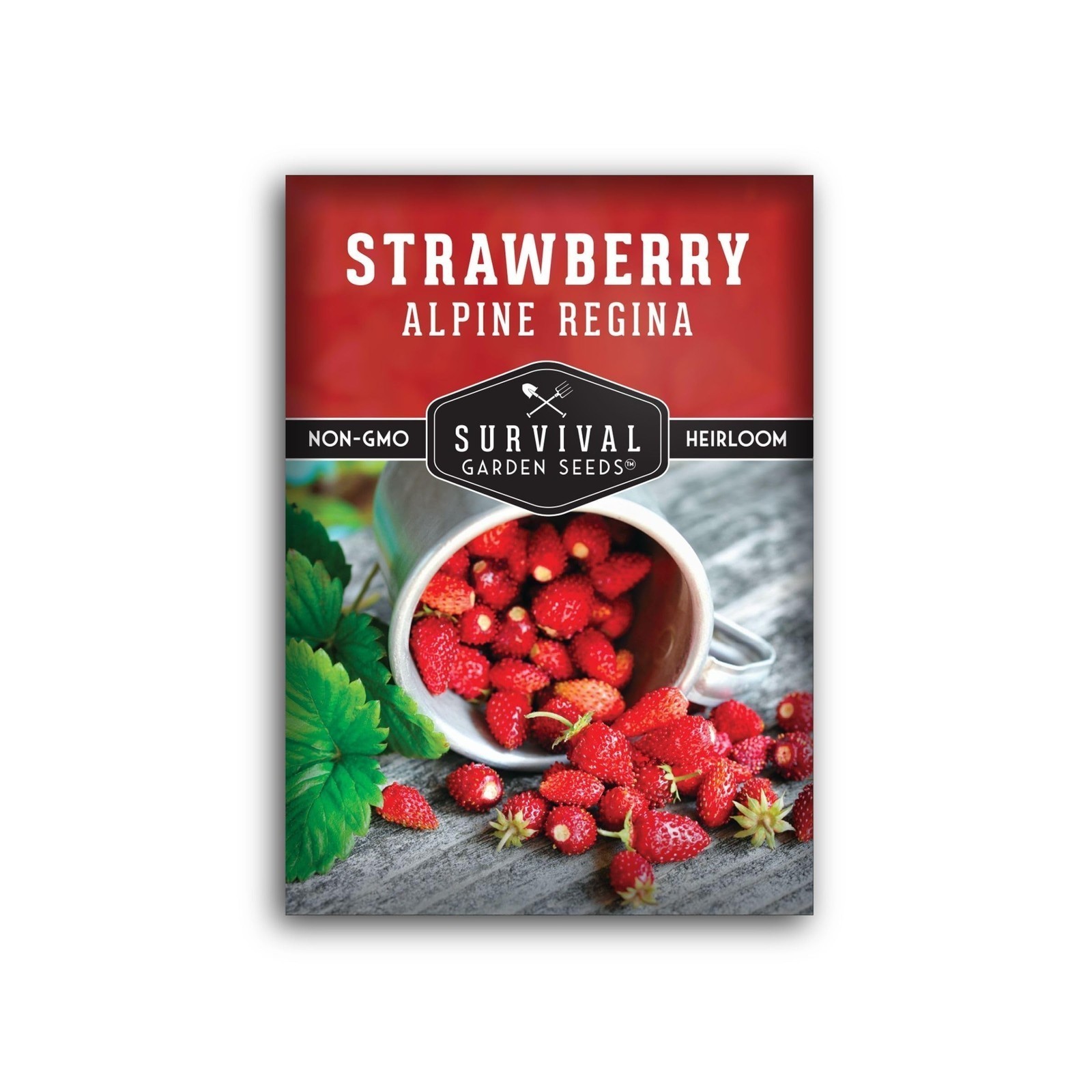 Survival Garden Seeds Alpine Regina Strawberry – 1 Packet of Fruit Seed with …