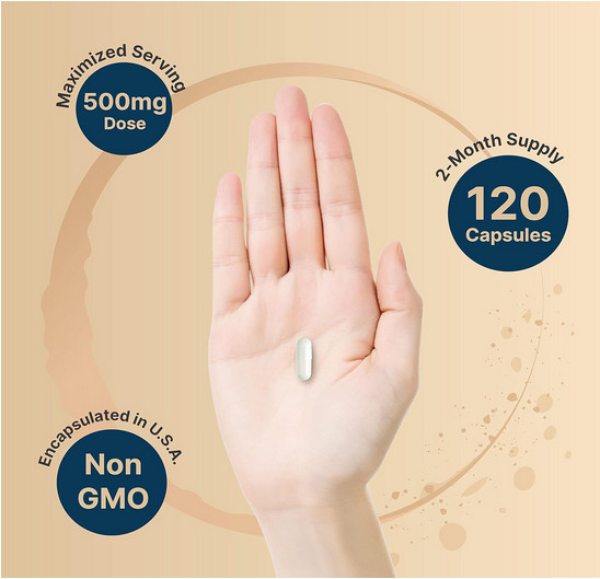 Citicoline Supplements, CDP Choline, Citicoline 500Mg plus Tyrosine 50Mg per Ser
