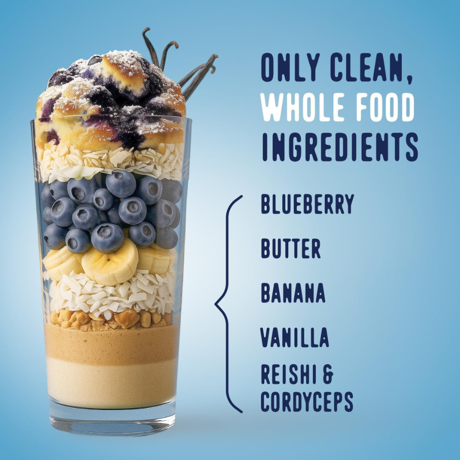 FlavCity Blueberry Muffin Protein Smoothie – On the Go Meal Alternative 20 Srv