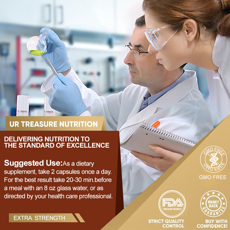 Mushroom Extract Complex Gummies Lions Mane Chaga Reishi Focus Memory Immunity
