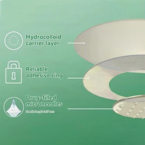 Luxarise Moringa & Berberine 10-IN-1 Advanced Nano Microneedle Patch