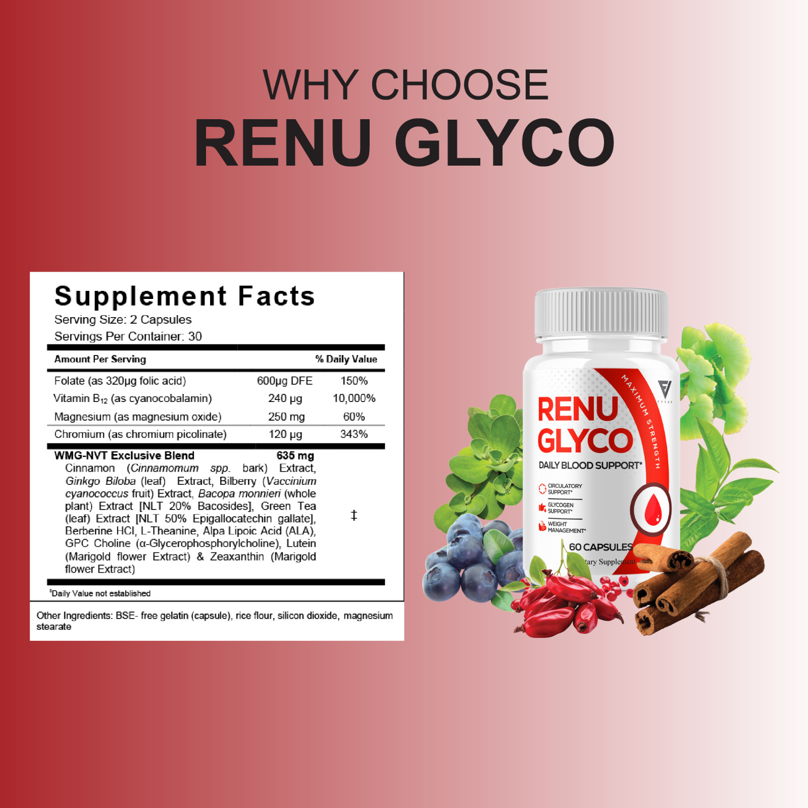 (3 Pack) Renu Glyco Daily Blood Support Capsules, RenuGlyco Pills (180 Capsules)
