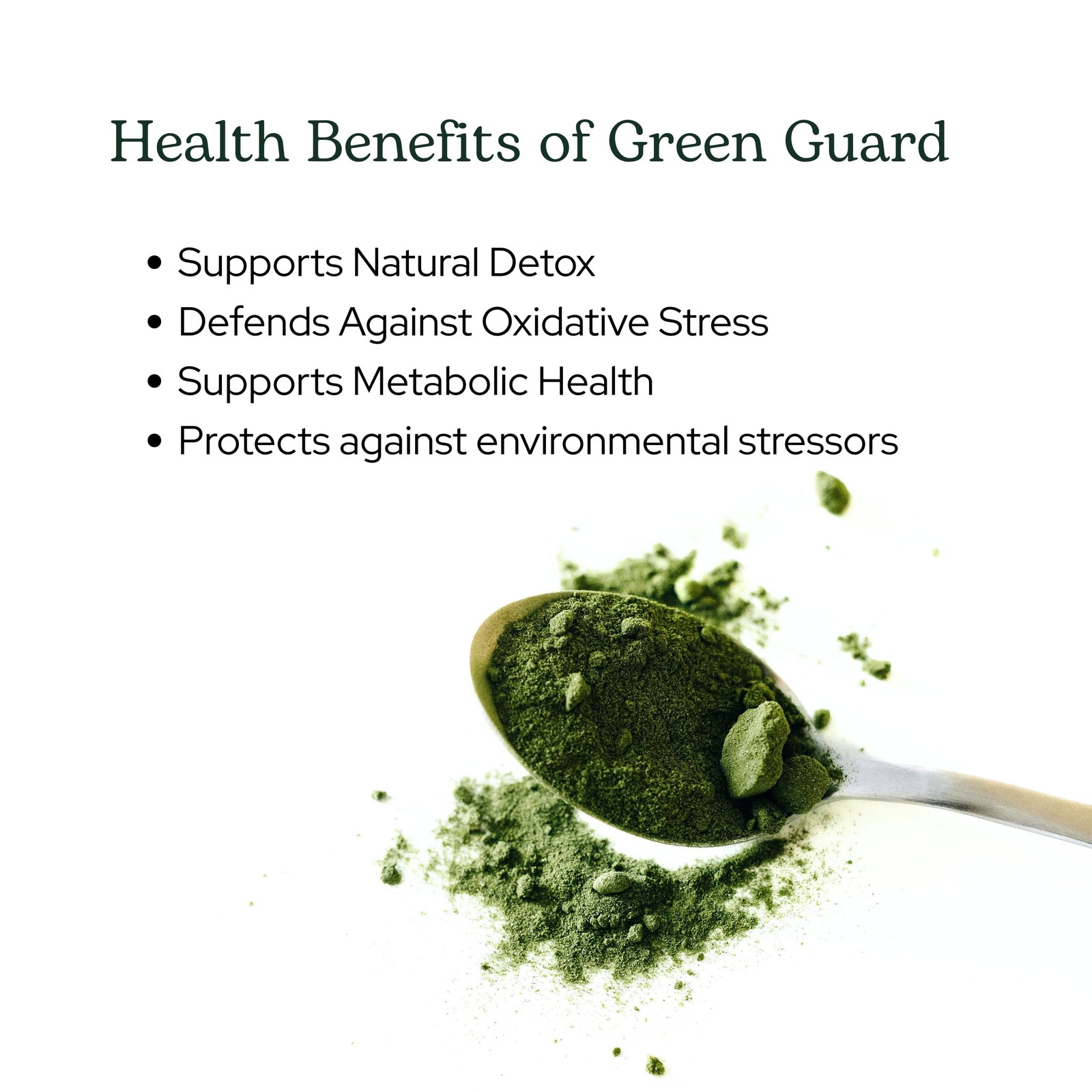 Eclectic Institute Green Guard Powder 3.7 oz Organic Detox Superfood Drink