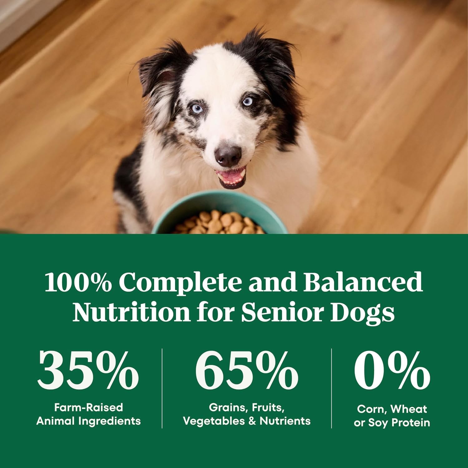 Nutro Natural Choice Senior Dog Food,Large Breed Dry Dog Food,Chicken and Brown
