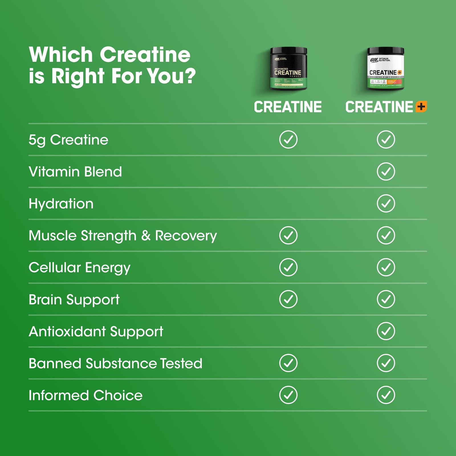 Optimum Nutrition Micronized Creatine Monohydrate Powder Unflavored 120