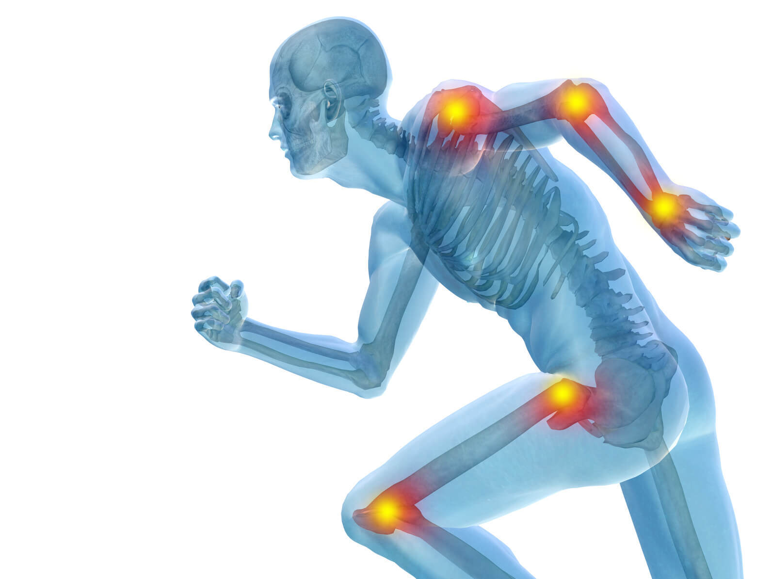 Pure IGF Deer Antler – ELK VELVET ANTLER 500mg – Male Stamina Pills -90 Capsules