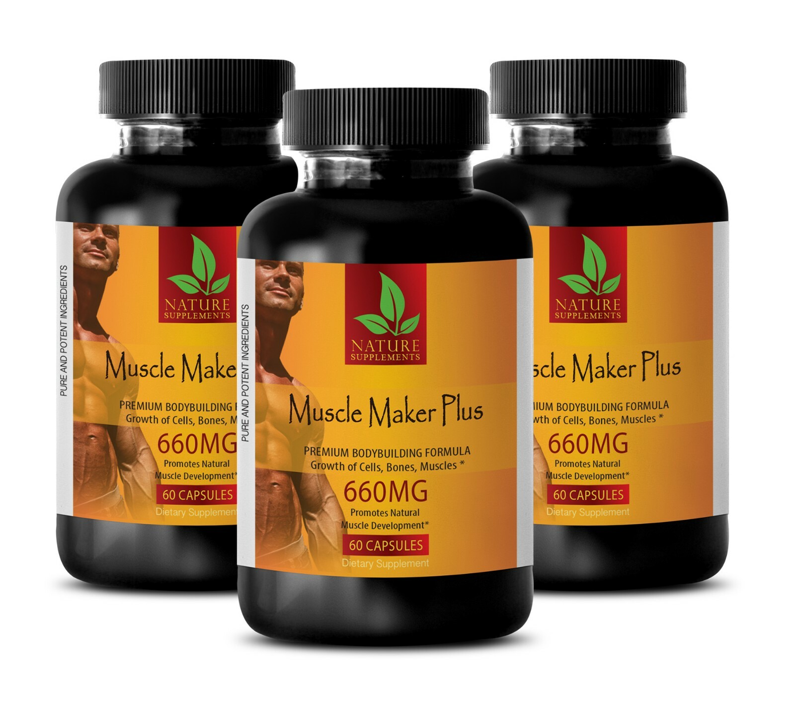 Regulates Hormones And Glands – MUSCLE MAKER PLUS – Decreasing Abdominal Fat 3B