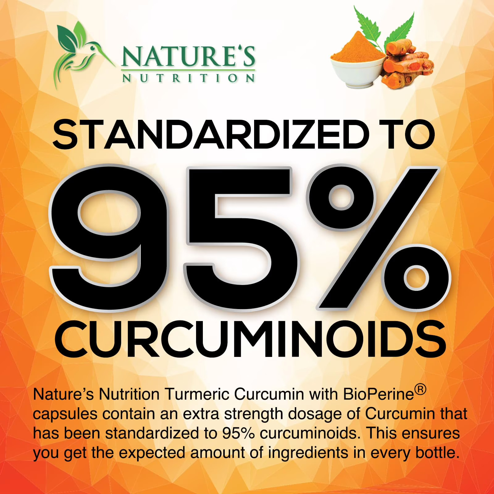 Turmeric Curcumin Supplement 95% Curcuminoids with BioPerine 240 Capsules