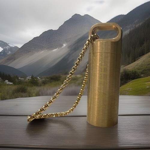 Leela Quantum H.E.A.L. Energy Capsule w/ Quantum Charged Golden Necklace