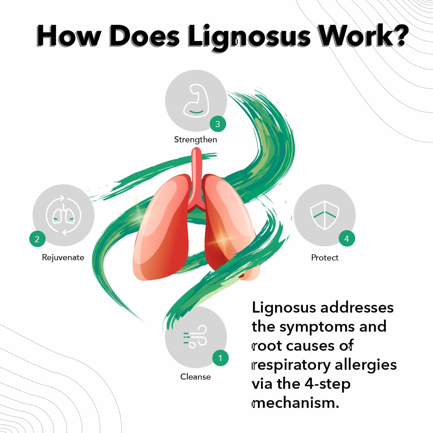 Lignosus Natural Lung Health Support 30 Sachets Exp 09/2027 – NEW- FAST SHIPPING