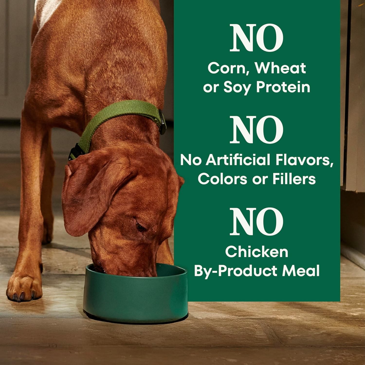 Nutro Natural Choice Senior Dog Food,Large Breed Dry Dog Food,Chicken and Brown