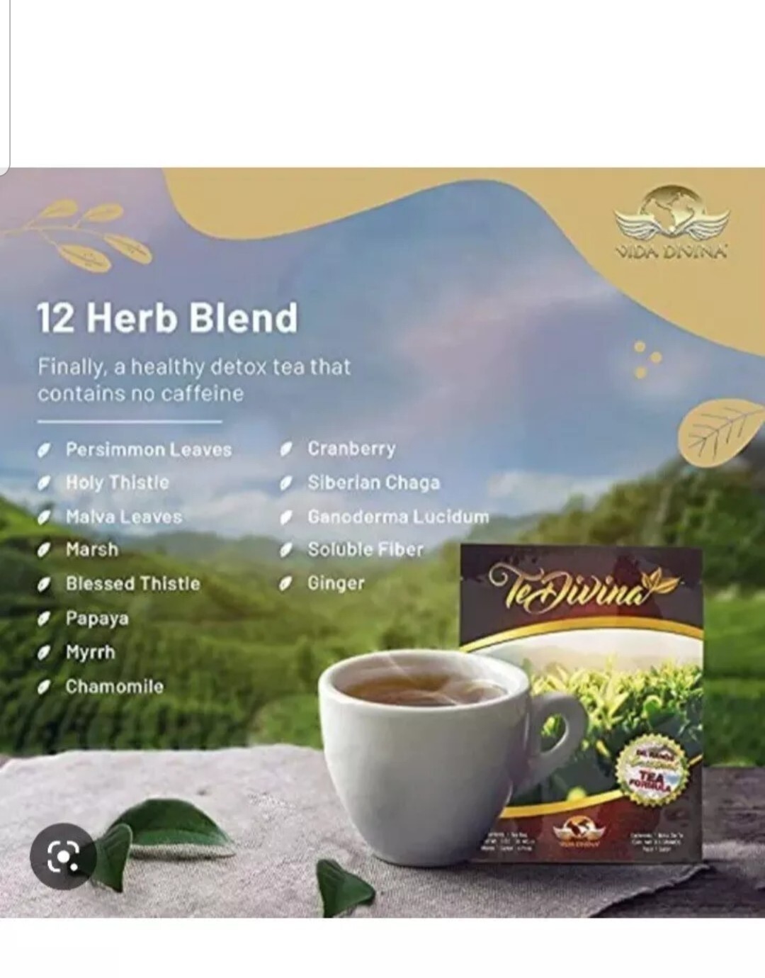 Te Divina Vida Divina, 6 bags Original Detox & Cleansers tea…..100% original