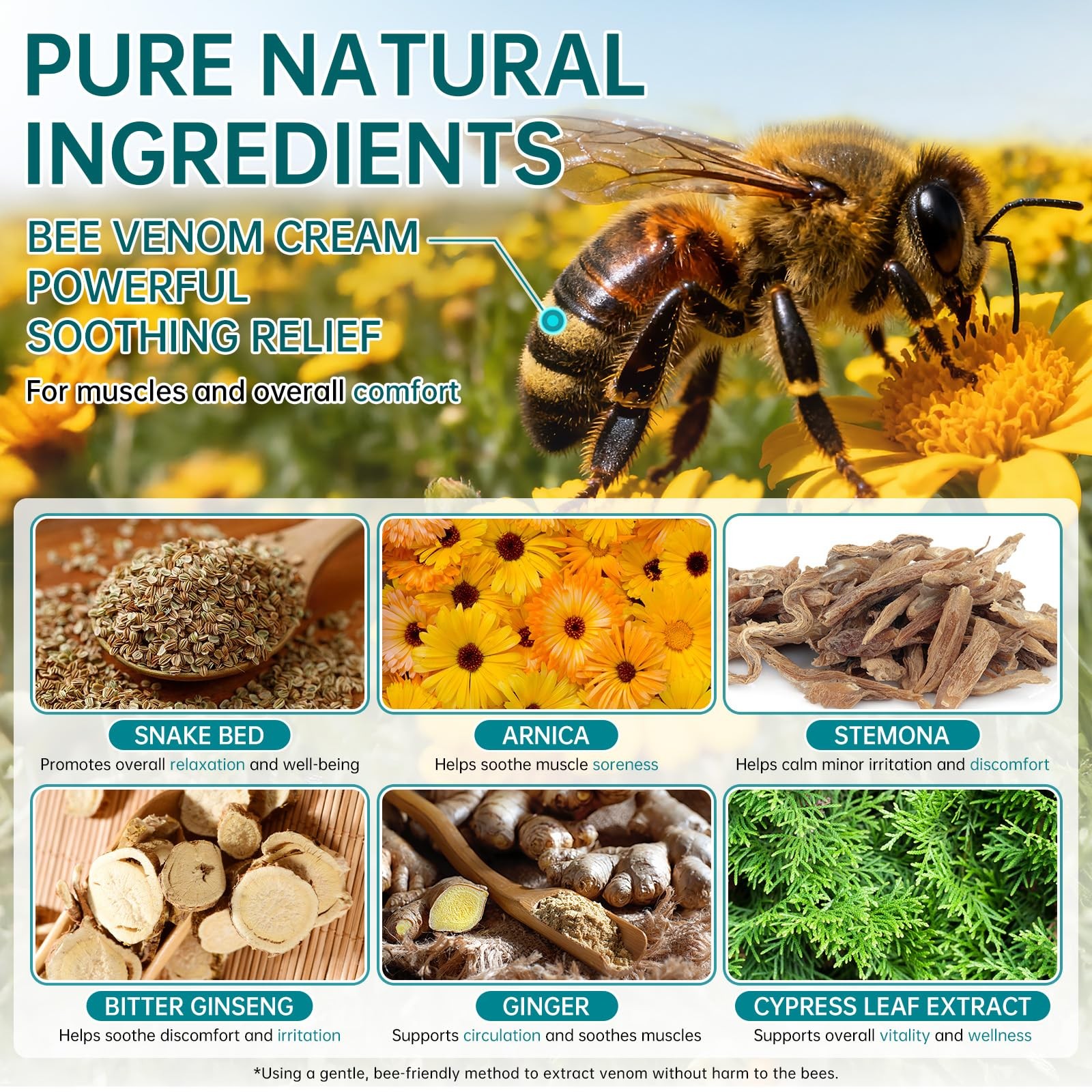 CHANGARLOAD New Zealand Bee Venom Cream for Body Part, 2 1 Fl Oz (Pack of 1)