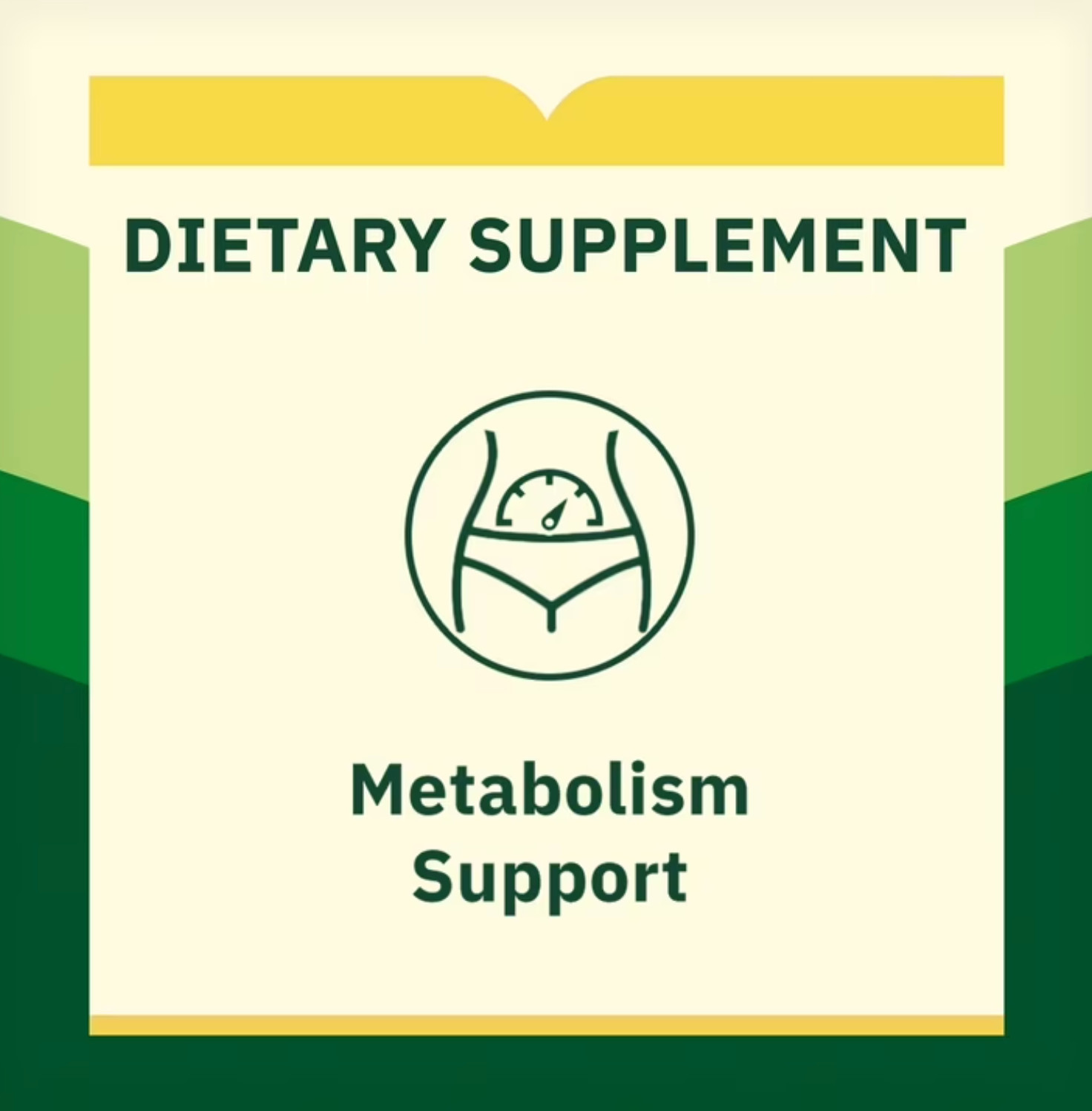 Spring Valley Berberine 1200Mg 40 Veg Capsules Metabolism Support