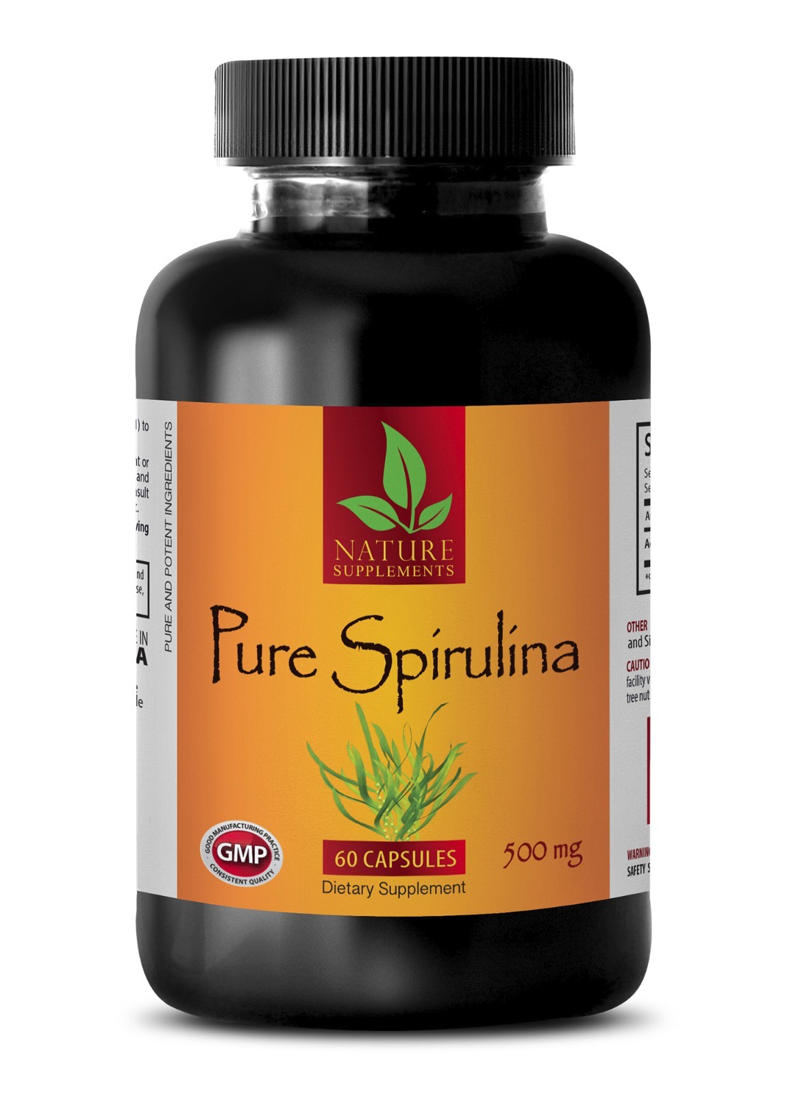Mood bracelet – SPIRULINA 500MG 1B – spirulina drink