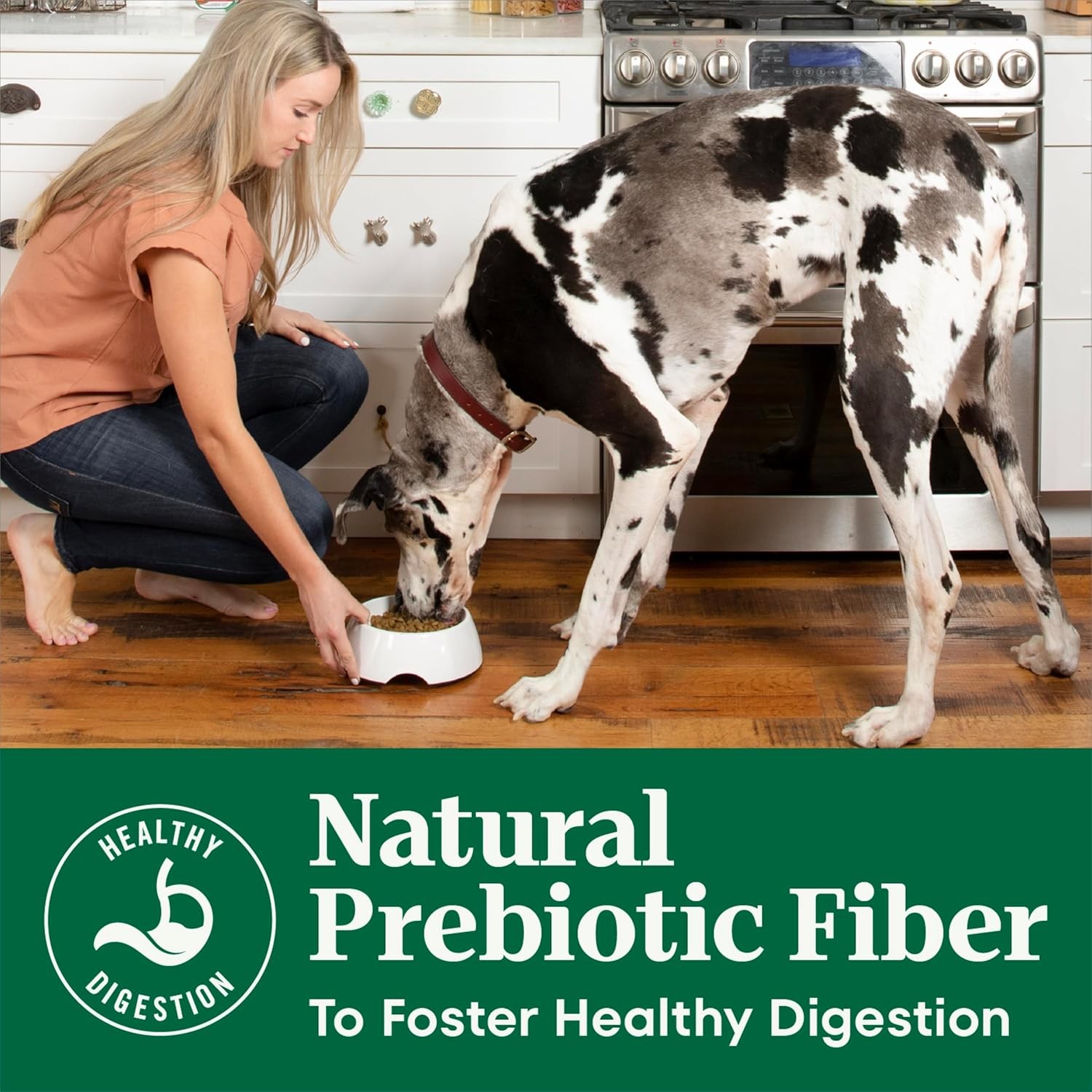 Nutro Natural Choice Senior Dog Food,Large Breed Dry Dog Food,Chicken and Brown