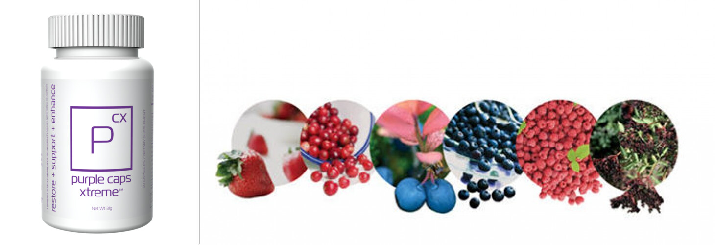 Purple Caps Xtreme™ Protect – BY BHIP GLOBAL – Vitamins & Antioxidants for body