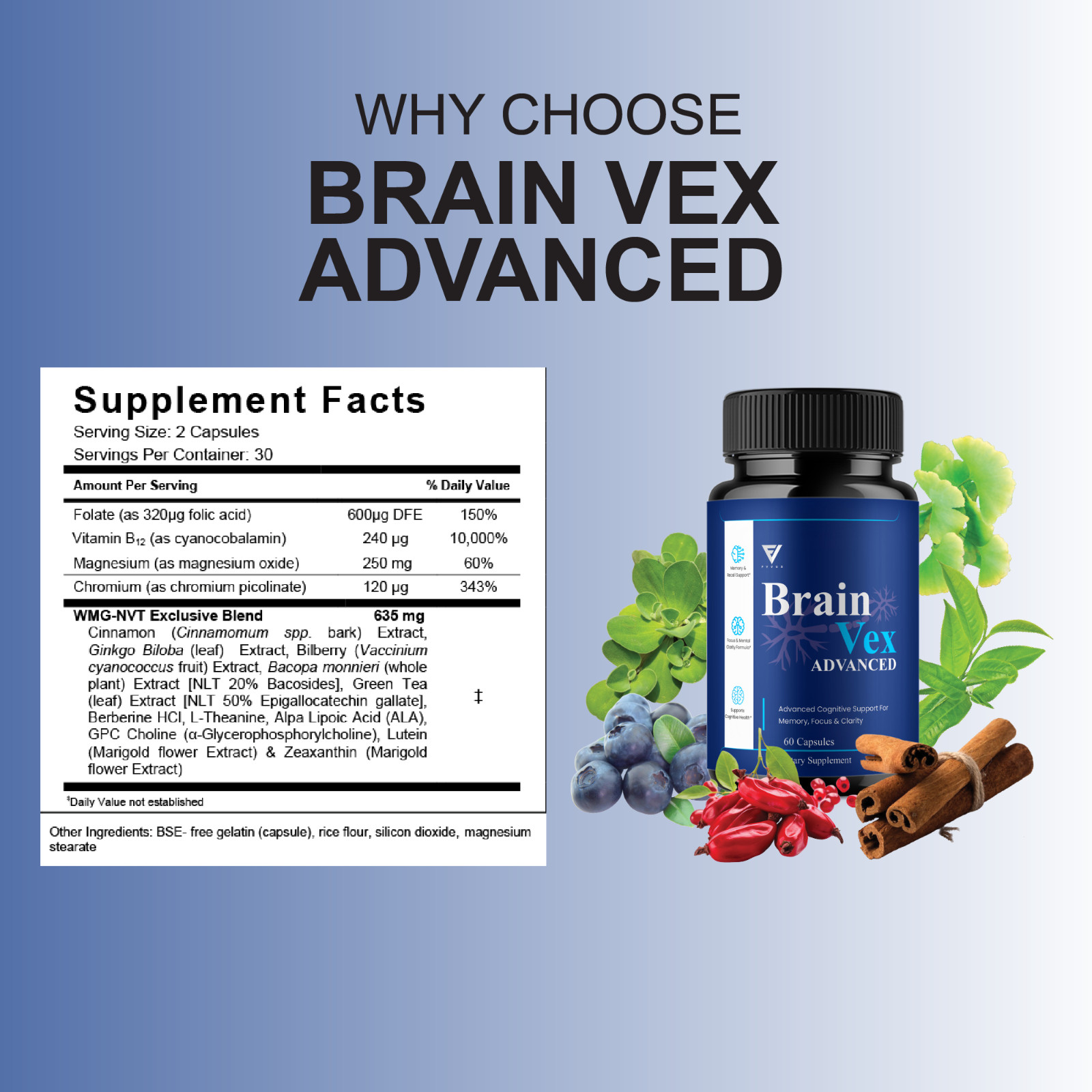 (2 Pack) Brain Vex Advanced, BrainVex Brain Health Formula (120 Capsules)
