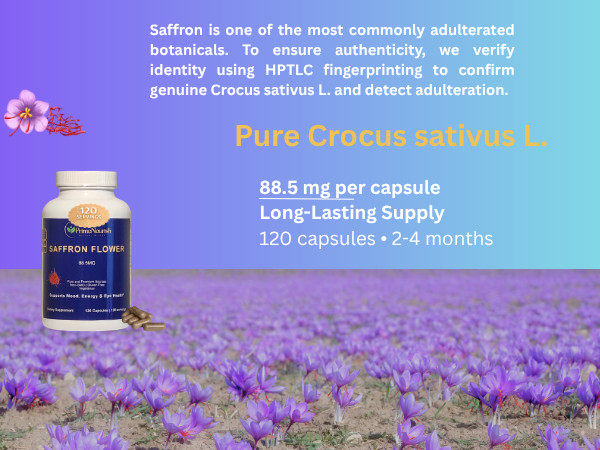 4 Bottles Authentic Saffron Extract for Mood & Focus – Large Size (480 Capsules)