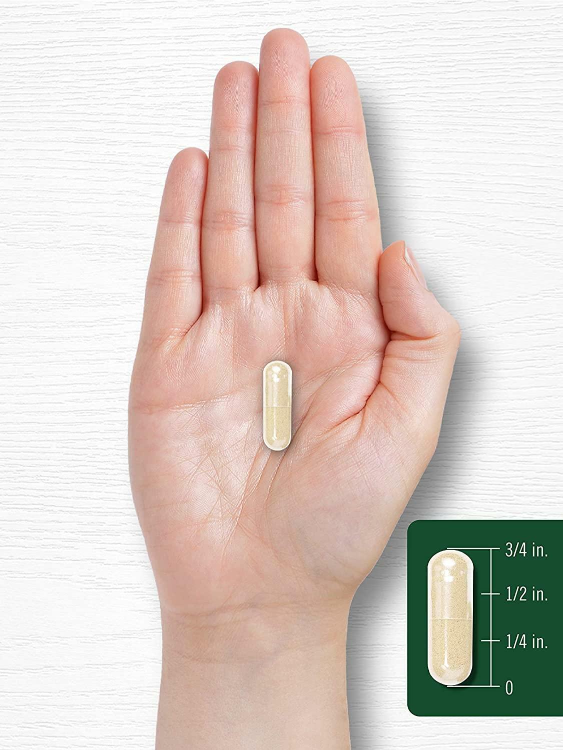 White Kidney Bean Carb Blocker 6000 Mg Potent Extract Starch Reduce, 200 Caps