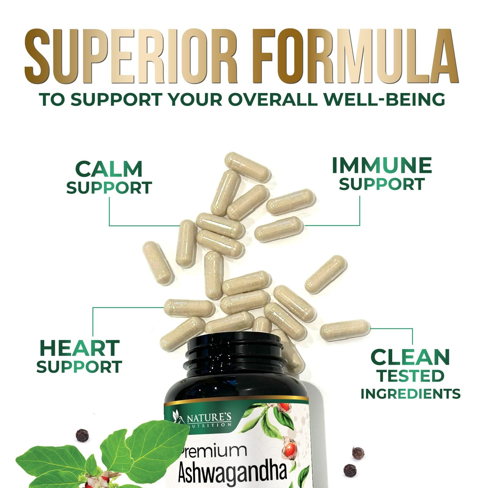 Ashwagandha Supplements – Premium Capsule 120 Count (Pack of 1)