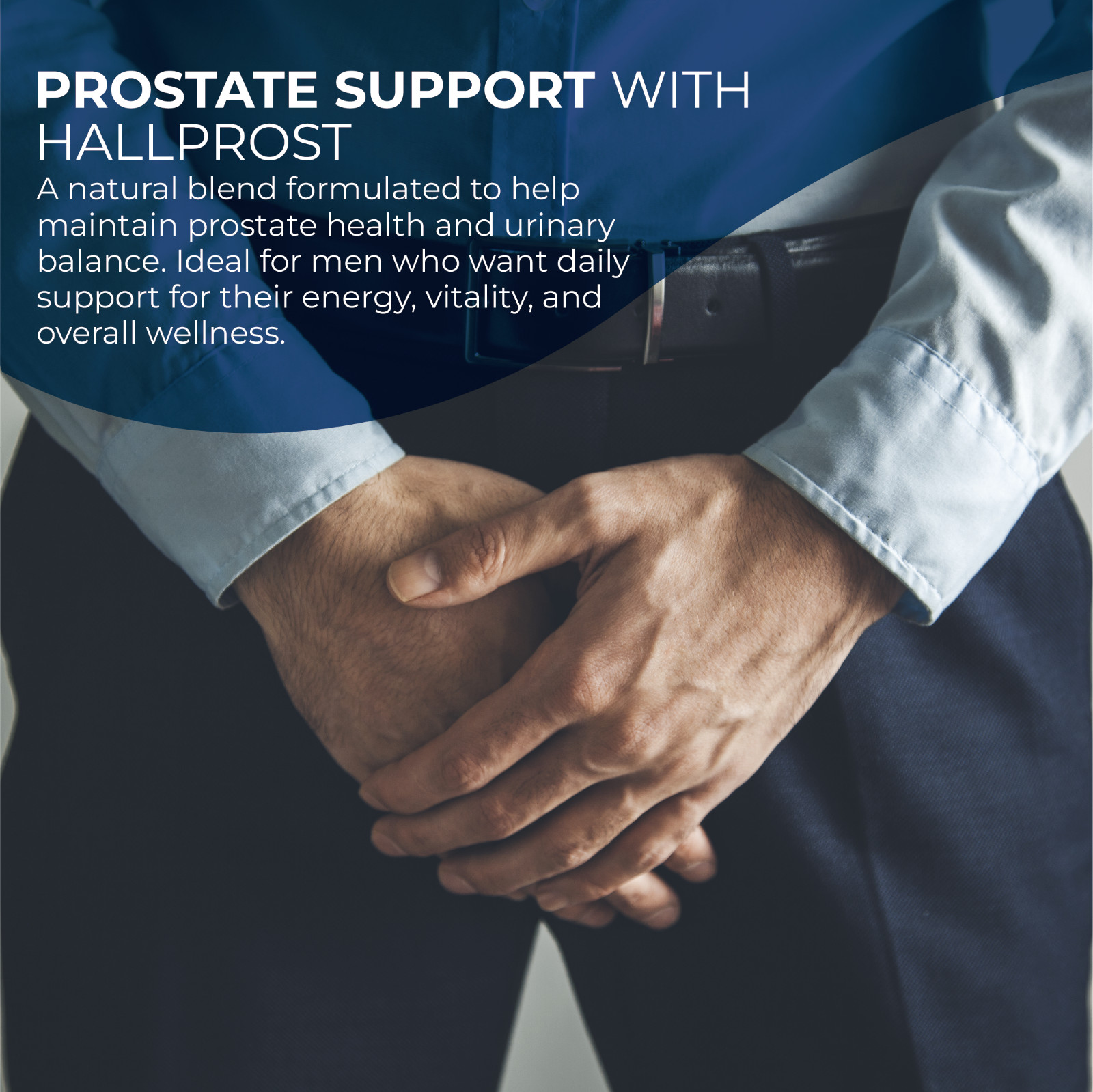 HALLPROST – Inflamed Prostate – Prostatitis – BPH – Urinary Function – 60 Cap