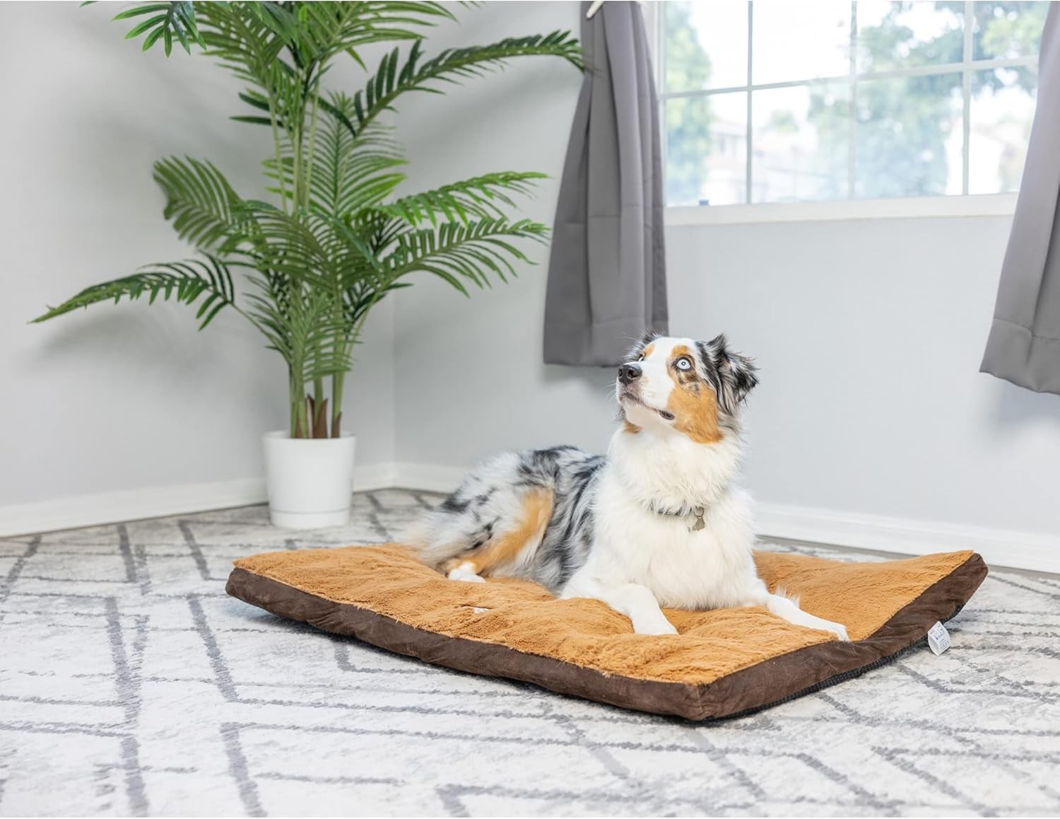 Armarkat Brown Pet Bed,39-Inch by 28-Inch by 5-Inch