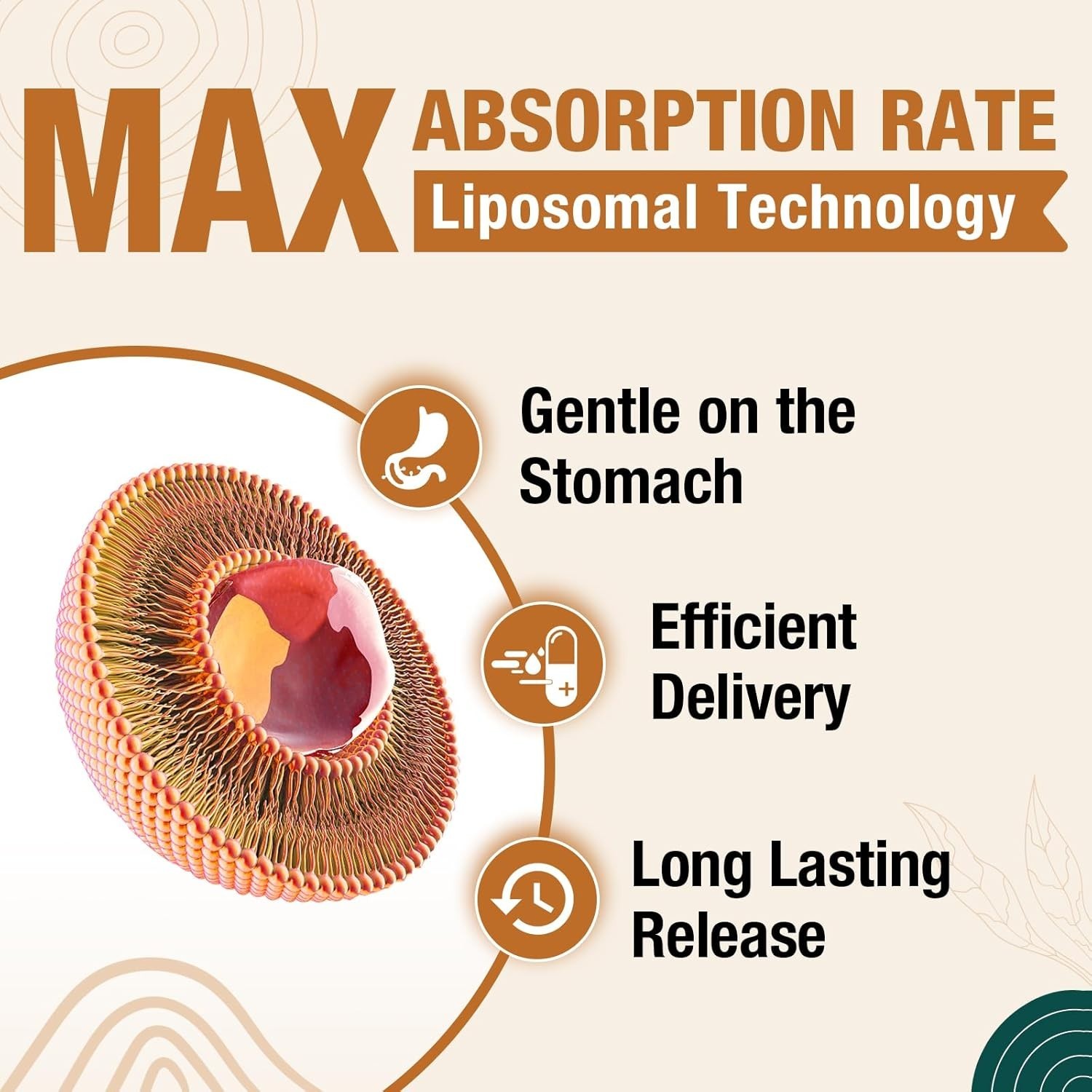 Liposomal Brain Supplement with Plasmalogen, Curcumin & Vitamin E – 60 Softgels