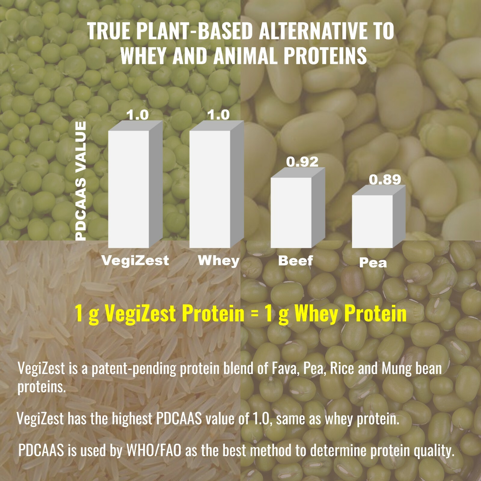Vegan Plant Based Complete Protein Meal Replacement Shake Peanut Butter
