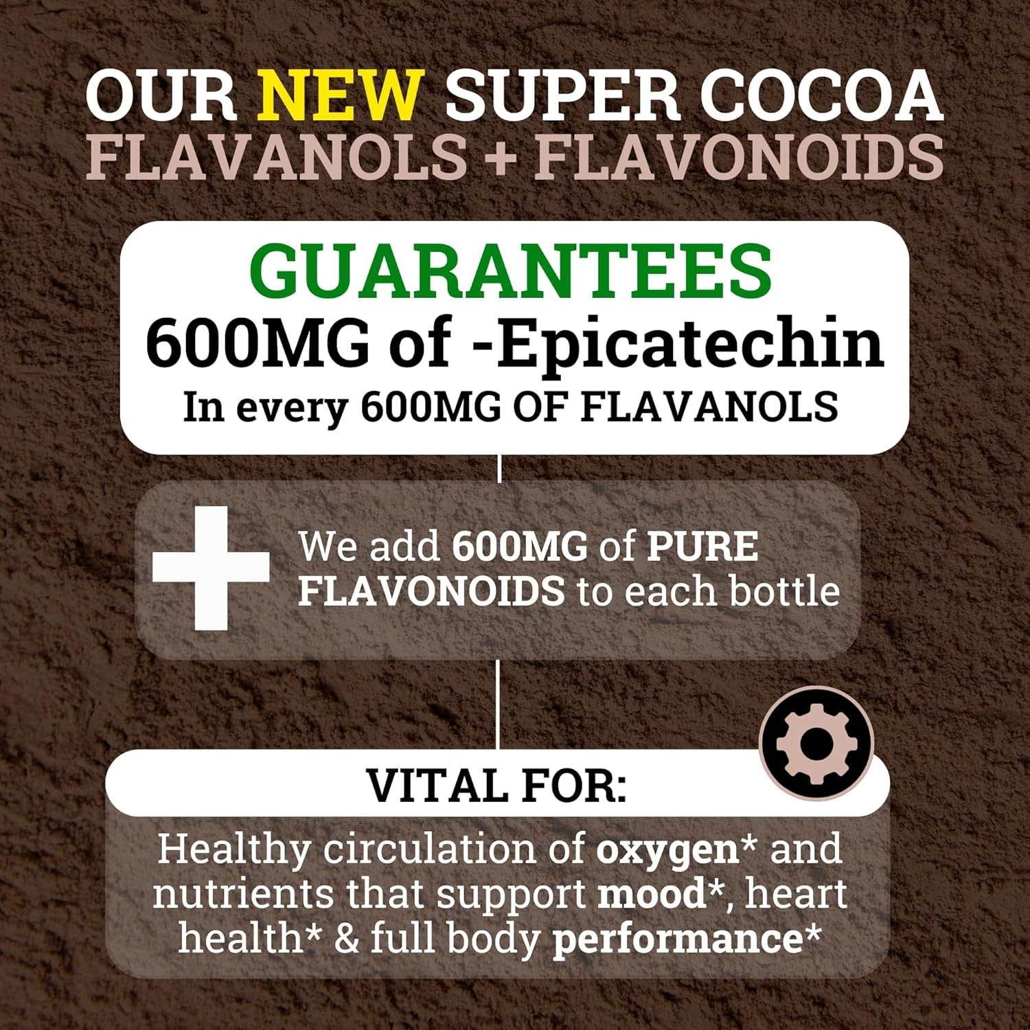 6 PACK! Black Forest High Flavanol Cocoa Powder and Flavonoid Supplements 1200mg
