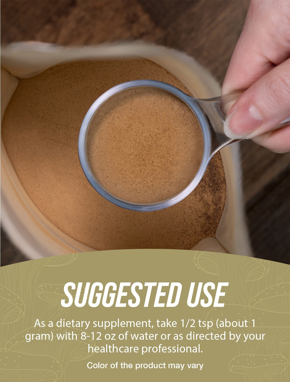 BulkSupplements Chaga Mushroom Extract – Beta Glucan Supplement